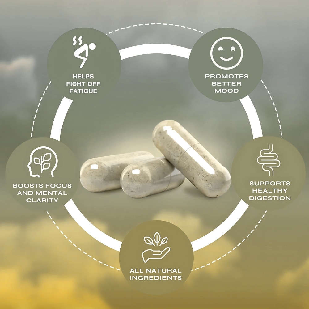 YerbaMagic Boost Capsules